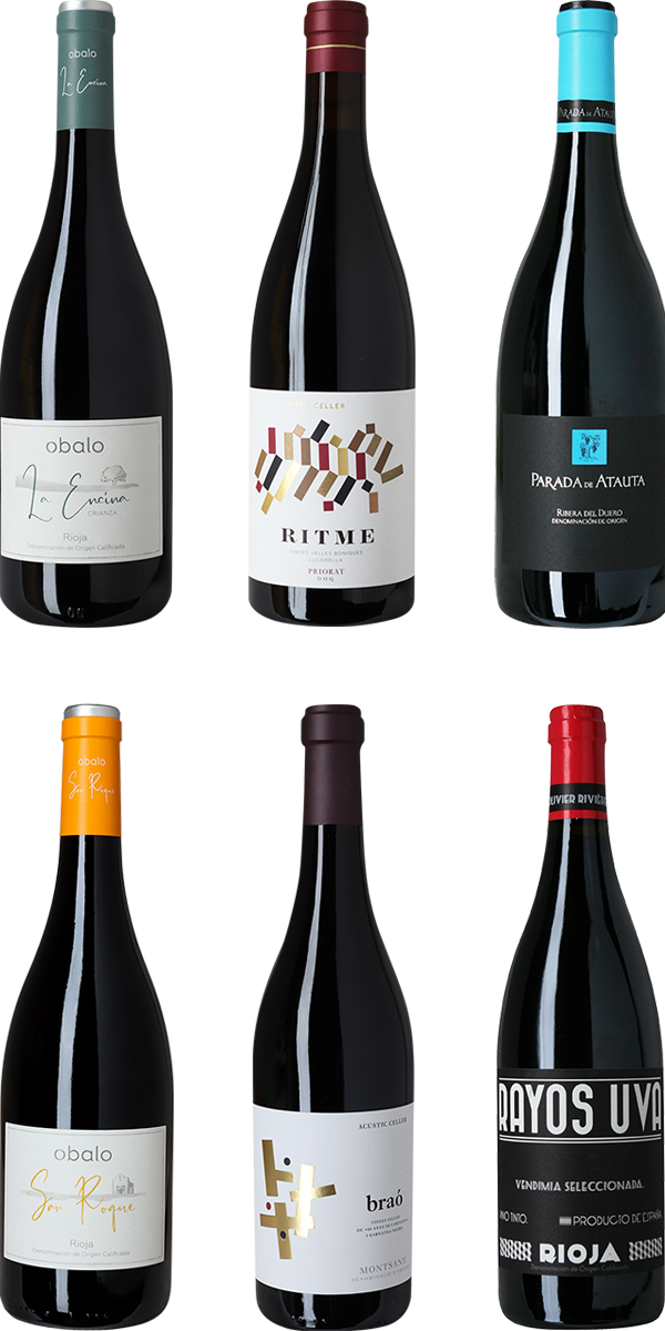 Nordspanien Rundt Smagekasse - Ribera del Duero, Rioja, Priorat, Montsant, 6 fl