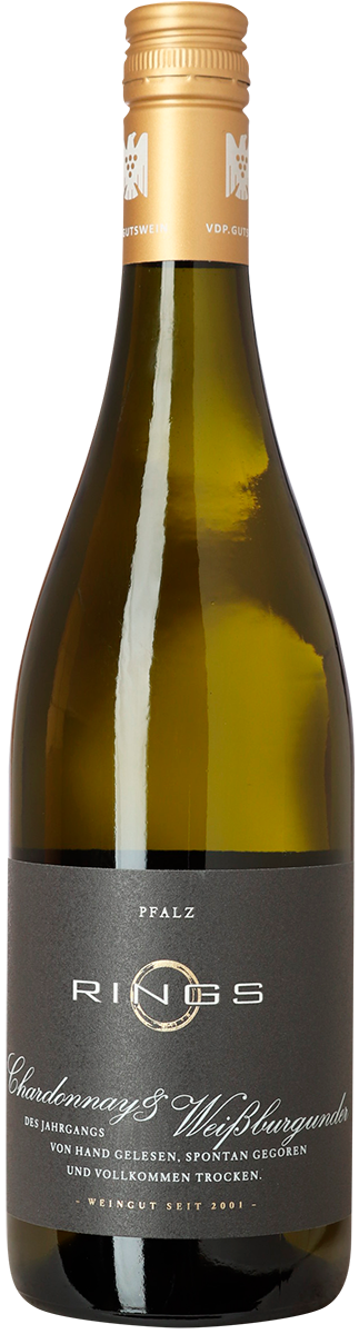 Chardonnay & Weissburgunder, Weingut Rings, Pfalz