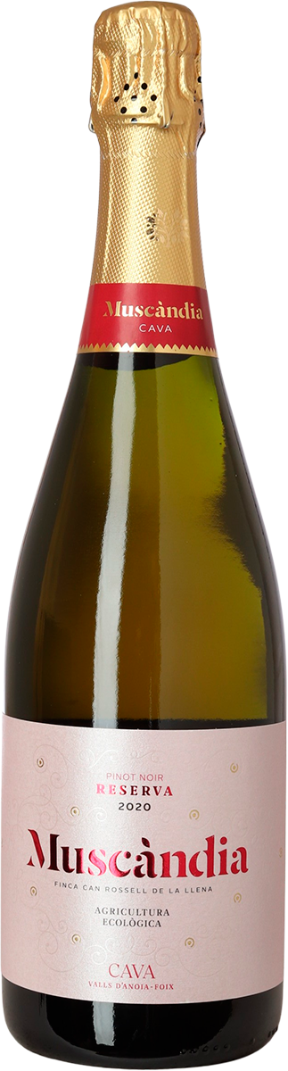 Cava Brut Reserva Rosé, Pinot Noir, Muscàndia