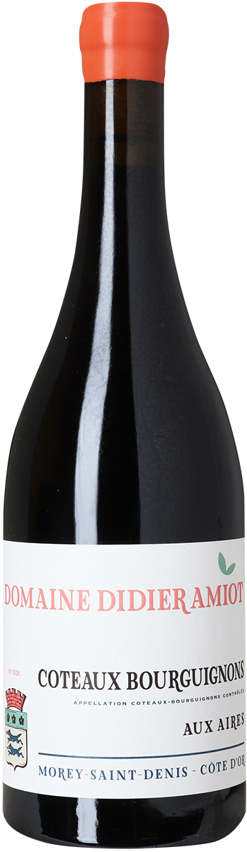 Coteaux Bourguignons Pinot Noir, Domaine Didier Amiot
