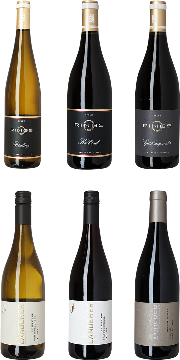 Tyskland, smagekasse med Weingut Rings & Weingut Landerer